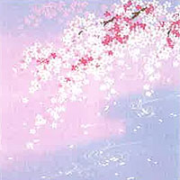 しだれ桜に流水（薄紫）