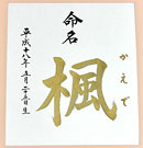 タイプ（E）金文字命名黒文字