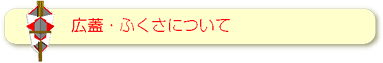 広蓋・袱紗について