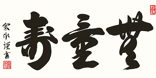 アップ画像