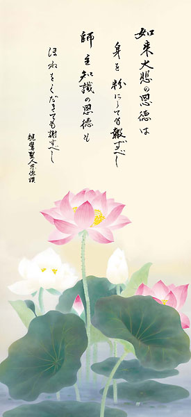 Abv摜