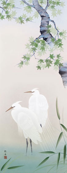 Abv摜