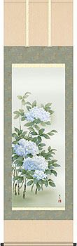 紫陽花