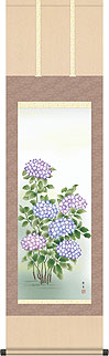 紫陽花