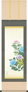 紫陽花