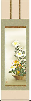 菊花