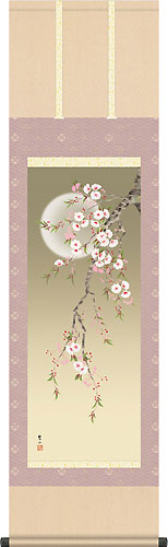 四季咲彩 夜桜