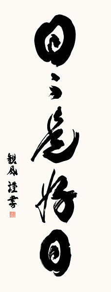 アップ画像