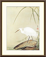 芦に白鷺
