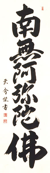 アップ画像