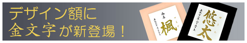 デザイン額に金文字が新登場