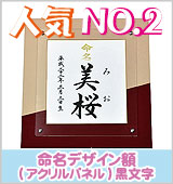 命名書 命名紙 命名軸 命名額 結納屋さんより赤ちゃんの毛筆手書きの命名書をお届けします