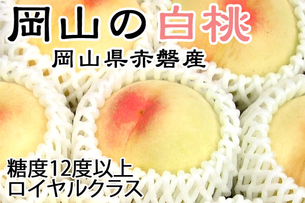 岡山の白桃